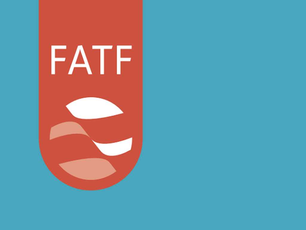 FATF Members Appreciated Pakistan's Efforts