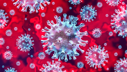 Novel Coronavirus Updates Worldwide